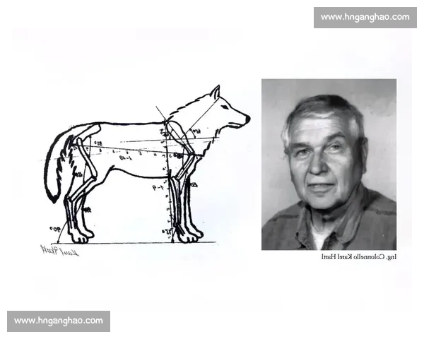 捷克对阵乌克兰焦点之战解析双方实力与晋级前景全面评估战术走向